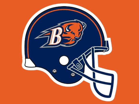 Bucknell Bison Hand Flag 3x5ft-3