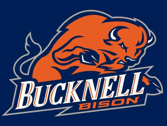 Bucknell Bison Hand Flag 3x5ft-1