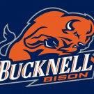 Bucknell Bison Hand Flag 3x5ft-1