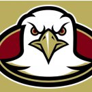 Boston College Eagles Hand Flag 3x5ft-3