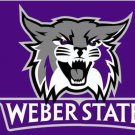 Weber State Wildcats Digital Printing Flag 3x5ft-1