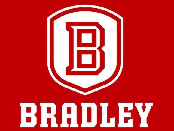 Bradley Braves Falcons Hand Flag 3x5ft-2