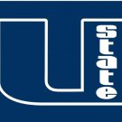Utah State Aggies Sports Team Flag 3x5ft-1
