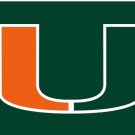 Miami Hurricanes Hand Flag 3x5ft-7
