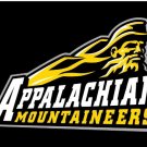 Appalachian State Mountaineers Logo Hand Flag 3x5ft-3