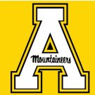 Appalachian State Mountaineers Logo Hand Flag 3x5ft-2