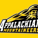 Appalachian State Mountaineers Logo Hand Flag 3x5ft-1
