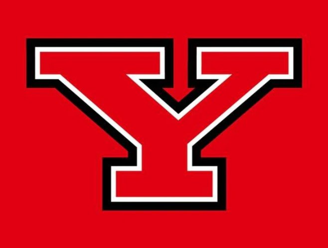 Youngstown State Penguins Flag 3x5ft-4