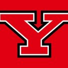 Youngstown State Penguins Flag 3x5ft-4