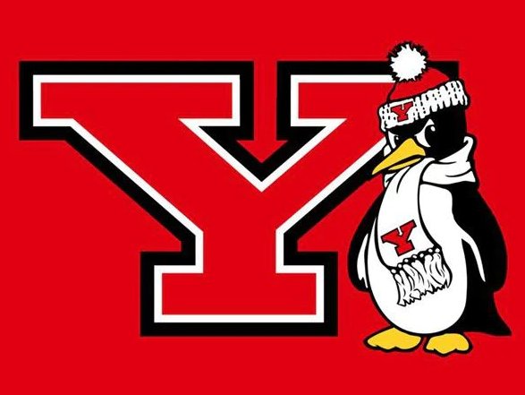 Youngstown State Penguins Flag 3x5ft