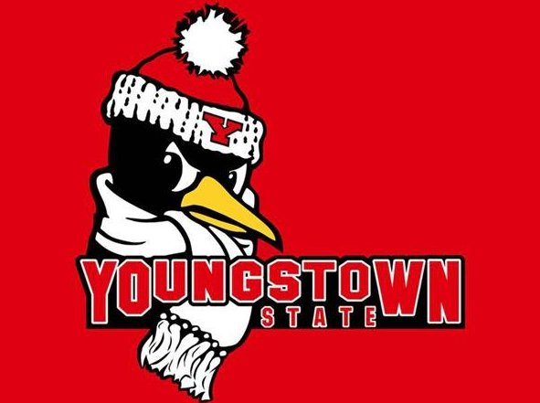 Youngstown State Penguins Flag 3x5ft