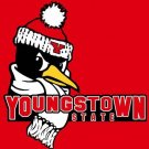 Youngstown State Penguins Flag 3x5ft-2