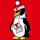 Youngstown State Penguins Flag 3x5ft-1