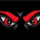 Cincinnati Bearcats Hand Flag 3x5ft-1