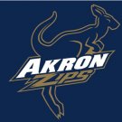 Akron Zips Logo Hand Flag 3x5ft-4
