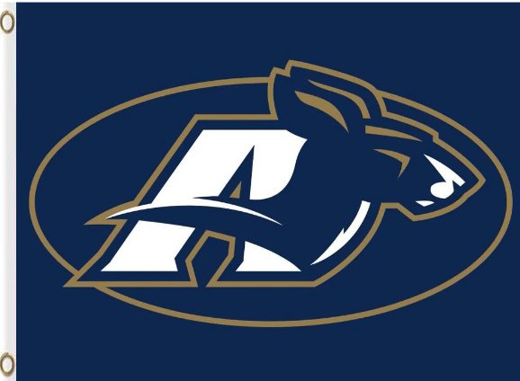 Akron Zips Logo Hand Flag 3x5ft-3