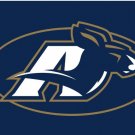 Akron Zips Logo Hand Flag 3x5ft-3