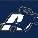 Akron Zips Logo Hand Flag 3x5ft-1