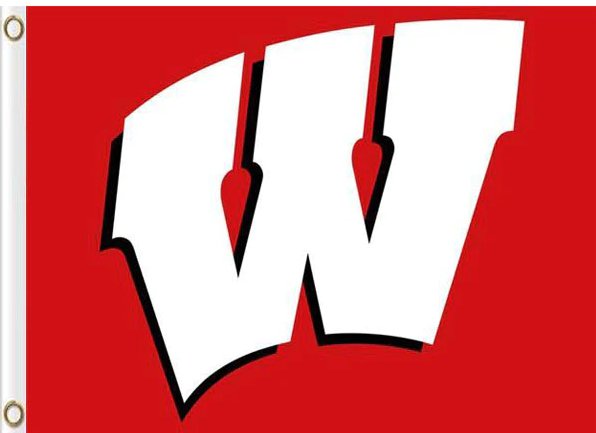 Wisconsin Badgers Flag 3x5ft-5