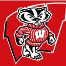 Wisconsin Badgers Flag 3x5ft-3