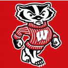 Wisconsin Badgers Flag 3x5ft-2