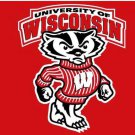 Wisconsin Badgers Flag 3x5ft-1