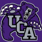 Central Arkansas Bears Hand Flag 3x5ft-3