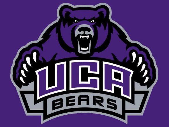 Central Arkansas Bears Hand Flag 3x5ft-1