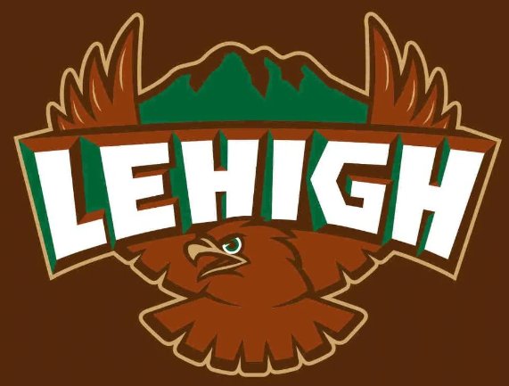 Lehigh Mountain Hawks Hand Flag 3x5ft-2