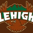 Lehigh Mountain Hawks Hand Flag 3x5ft-2