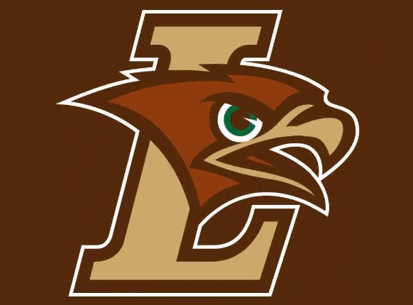 Lehigh Mountain Hawks Hand Flag 3x5ft-1