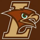 Lehigh Mountain Hawks Hand Flag 3x5ft-1