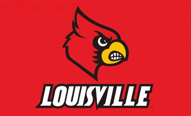 Illinois State Redbirds Hand Flag 3x5ft-4