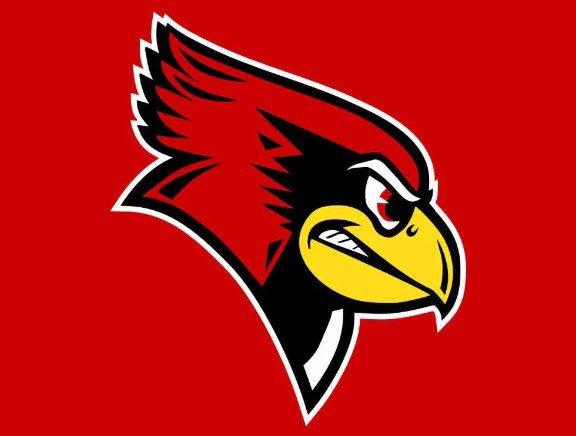 Illinois State Redbirds Hand Flag 3x5ft-2