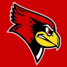 Illinois State Redbirds Hand Flag 3x5ft-2