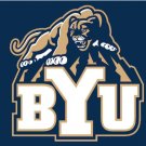 Brigham Young Cougars Falcons Hand Flag 3x5ft-1