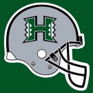 Hawaii Warriors Hand Flag 3x5ft-4