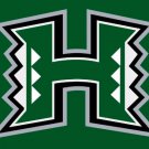 Hawaii Warriors Hand Flag 3x5ft-3