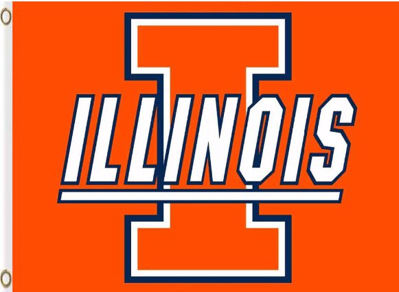 Illinois Fighting Illini Hand Flag 3x5ft-4