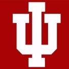 Indiana Hoosiers Hand Flag 3x5ft-3