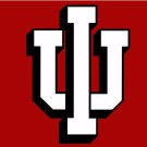 Indiana Hoosiers Hand Flag 3x5ft-1