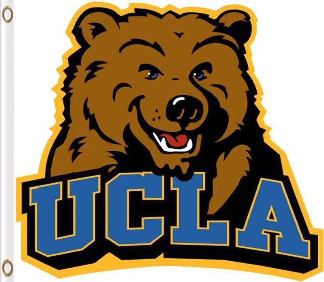 UCLA Bruins Flag 3x5ft-1