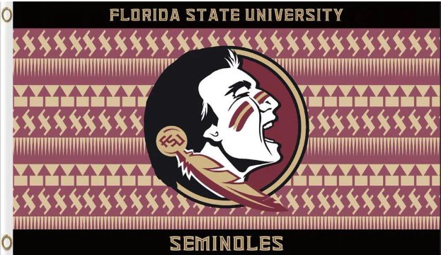 Florida State Seminoles Flag 3x5ft-4
