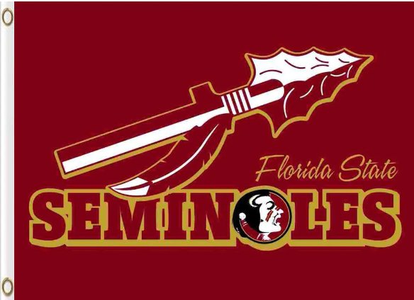 Florida State Seminoles Flag 3x5ft-3