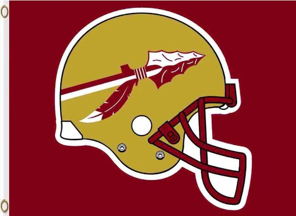Florida State Seminoles Flag 3x5ft-2