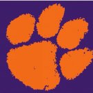 Clemson Tigers Hand Flag 3x5ft-4