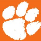 Clemson Tigers Hand Flag 3x5ft-1