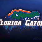Florida Gators Flag 3x5ft-3