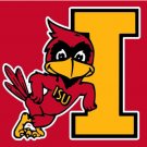 Iowa State Cyclones Hand Flag 3x5ft-3