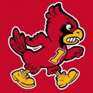 Iowa State Cyclones Hand Flag 3x5ft-2